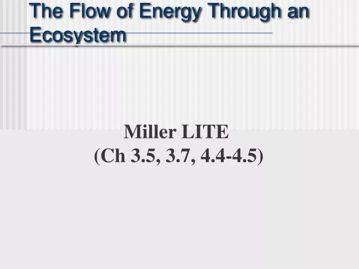 the flow of energy through an ecosystem