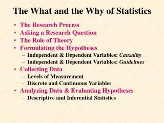 The What and the Why of Statistics