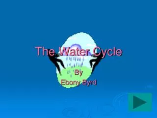 The Water Cycle