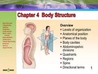Chapter 4 Body Structure