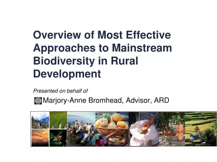 overview of most effective approaches to mainstream biodiversity in rural development