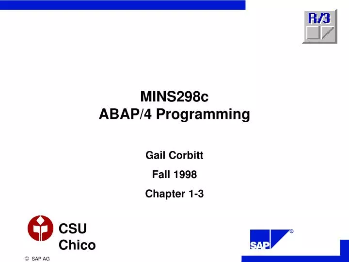 mins298c abap 4 programming