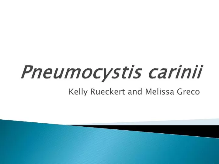 pneumocystis carinii