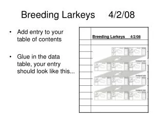 Breeding Larkeys 4/2/08