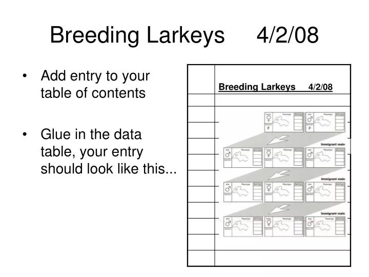breeding larkeys 4 2 08