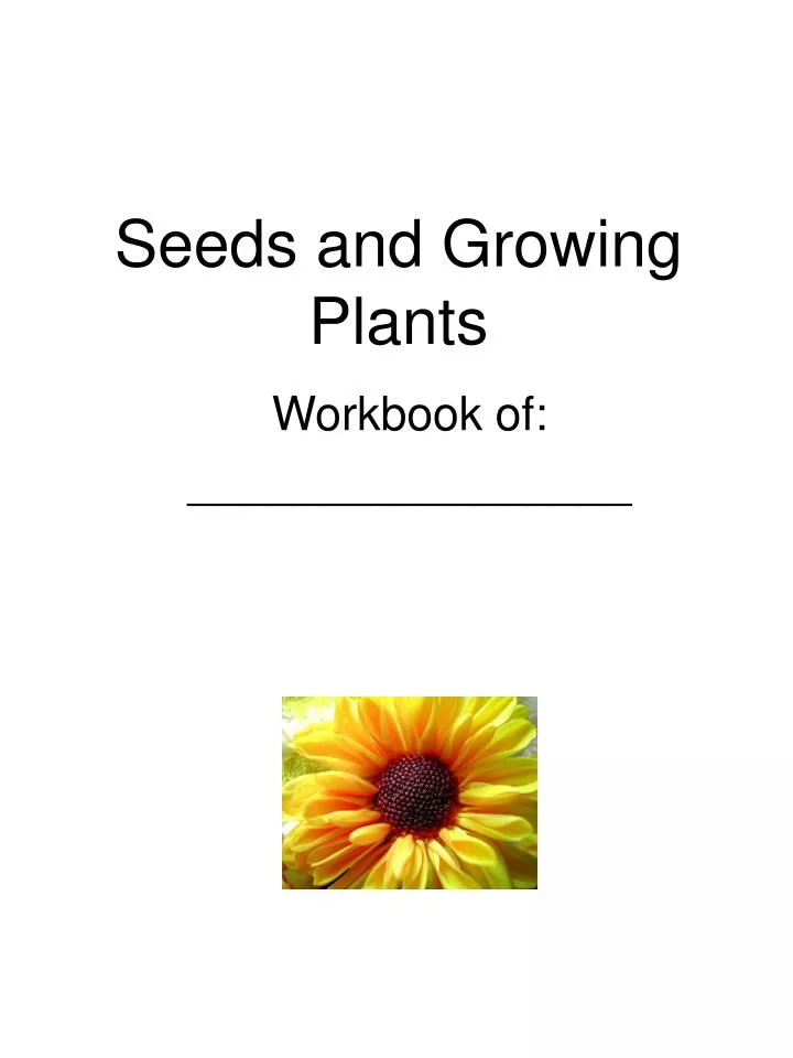 seeds and growing plants