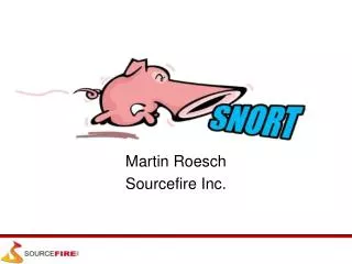 Martin Roesch Sourcefire Inc.