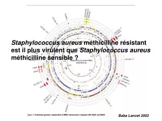 Staphylococcus aureus méthicilline résistant est il plus virulent que Staphylococcus aureus méthicilline sensible ?