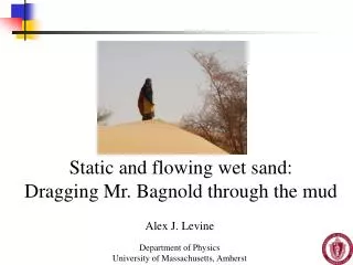 Static and flowing wet sand: Dragging Mr. Bagnold through the mud