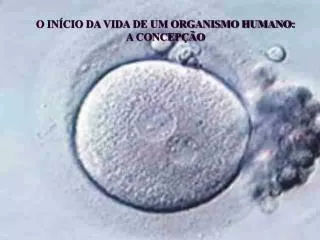 O INÍCIO DA VIDA DE UM ORGANISMO HUMANO: A CONCEPÇÃO