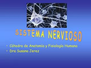 Cátedra de Anatomía y Fisiología Humana Dra Susana Jerez