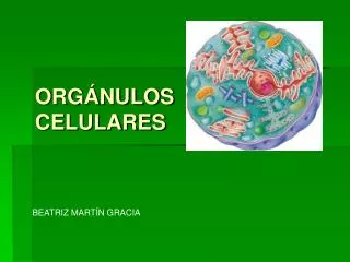 org nulos celulares