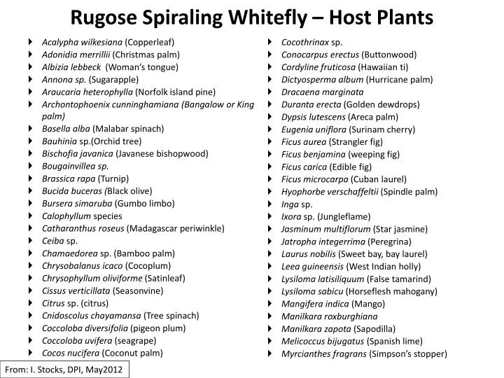 rugose spiraling whitefly host plants