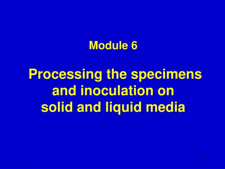 module 6 processing the specimens and inoculation on solid and liquid media