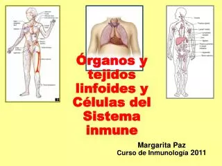 Órganos y tejidos linfoides y Células del Sistema inmune