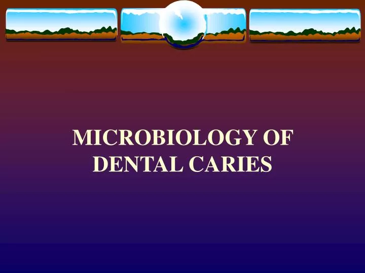 microbiology of dental caries