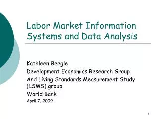 Labor Market Information Systems and Data Analysis