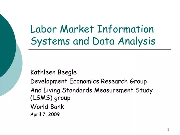 labor market information systems and data analysis