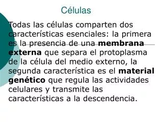 c lulas