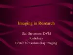 Imaging in Research - slide 1