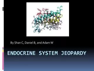 Endocrine System Jeopardy