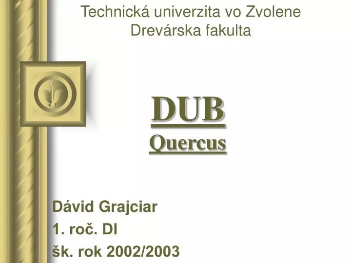 dub quercus