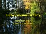 Krytosemenné rastliny - slide 1