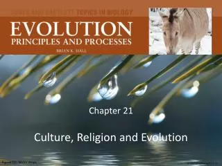 Chapter 21 Culture, Religion and Evolution