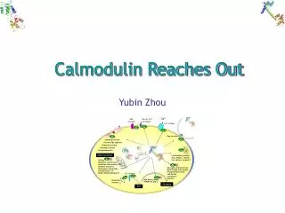 Calmodulin Reaches Out