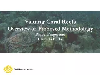 Valuing Coral Reefs Overview of Proposed Methodology Daniel Prager and Lauretta Burke