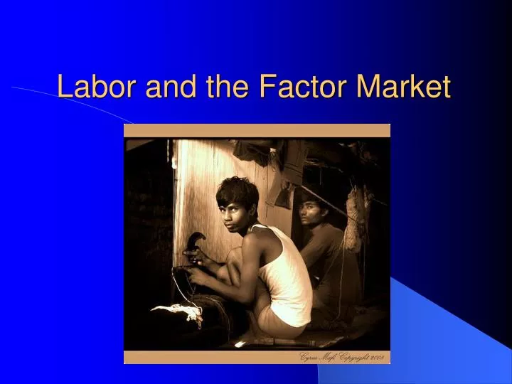 labor and the factor market