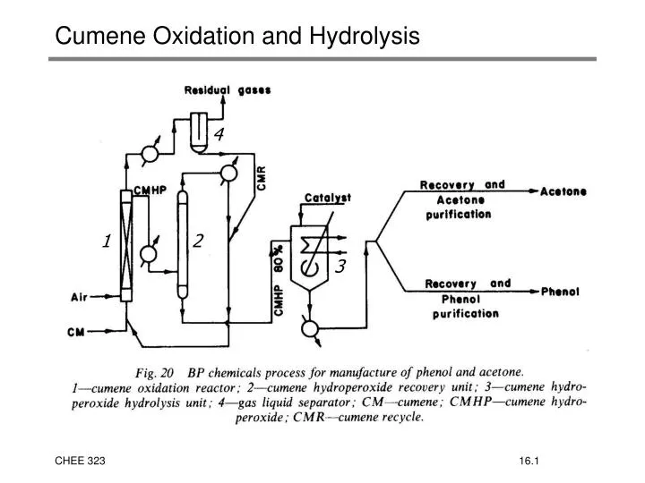 cumene oxidation and hydrolysis