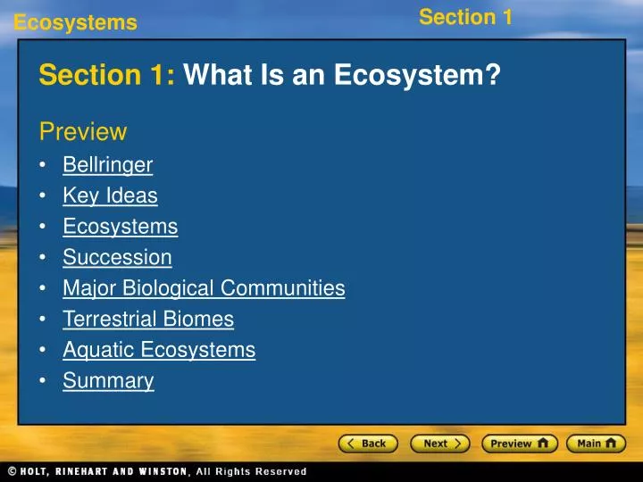 section 1 what is an ecosystem