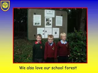 We also love our school forest