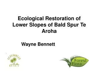 Ecological Restoration of Lower Slopes of Bald Spur Te Aroha
