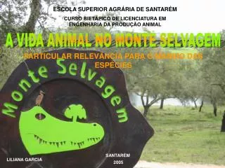 ESCOLA SUPERIOR AGRÁRIA DE SANTARÉM CURSO BIETÁPICO DE LICENCIATURA EM ENGENHARIA DA PRODUÇÃO ANIMAL