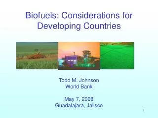 Biofuels: Considerations for Developing Countries