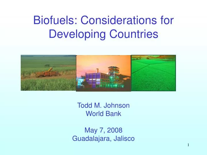 biofuels considerations for developing countries