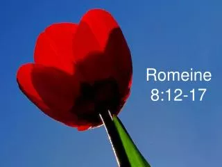 Romeine 8:12-17