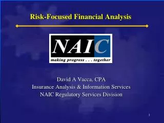 Risk-Focused Financial Analysis