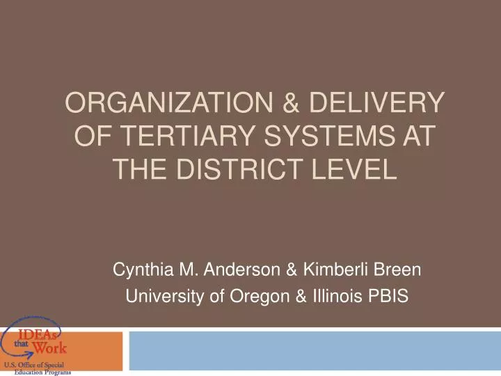 organization delivery of tertiary systems at the district level