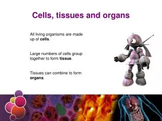 Cells, tissues and organs