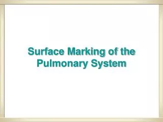 Surface Marking of the Pulmonary System