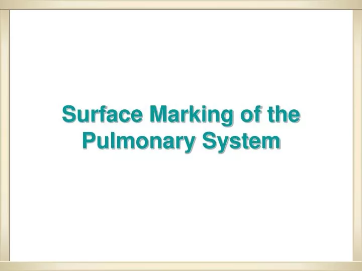 surface marking of the pulmonary system