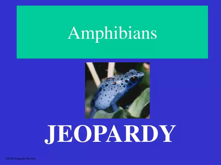 amphibians