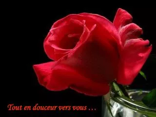 tout en douceur vers vous