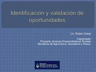 identificaci n y validaci n de oportunidades