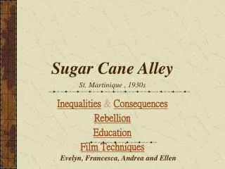 Sugar Cane Alley St. Martinique , 1930s
