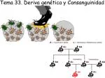 Tema 33. Deriva genética y Consanguinidad - slide 1