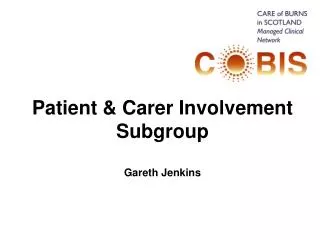 Patient &amp; Carer Involvement Subgroup Gareth Jenkins